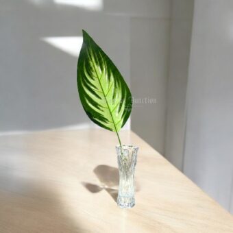 Pack of 12 Large Phoneix tail Leaf-no4
